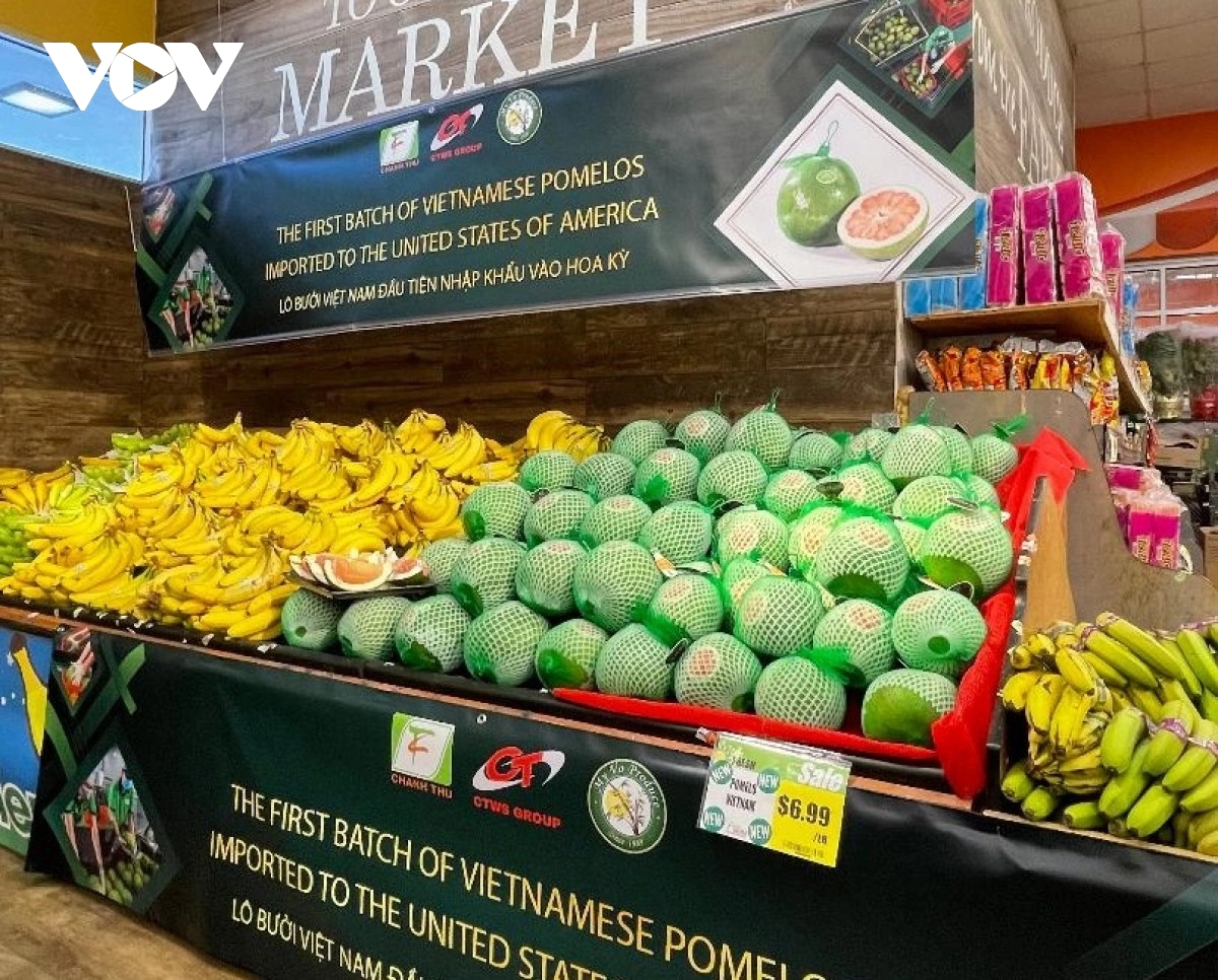 Vietnam to increase trade promotion, market development in 2024